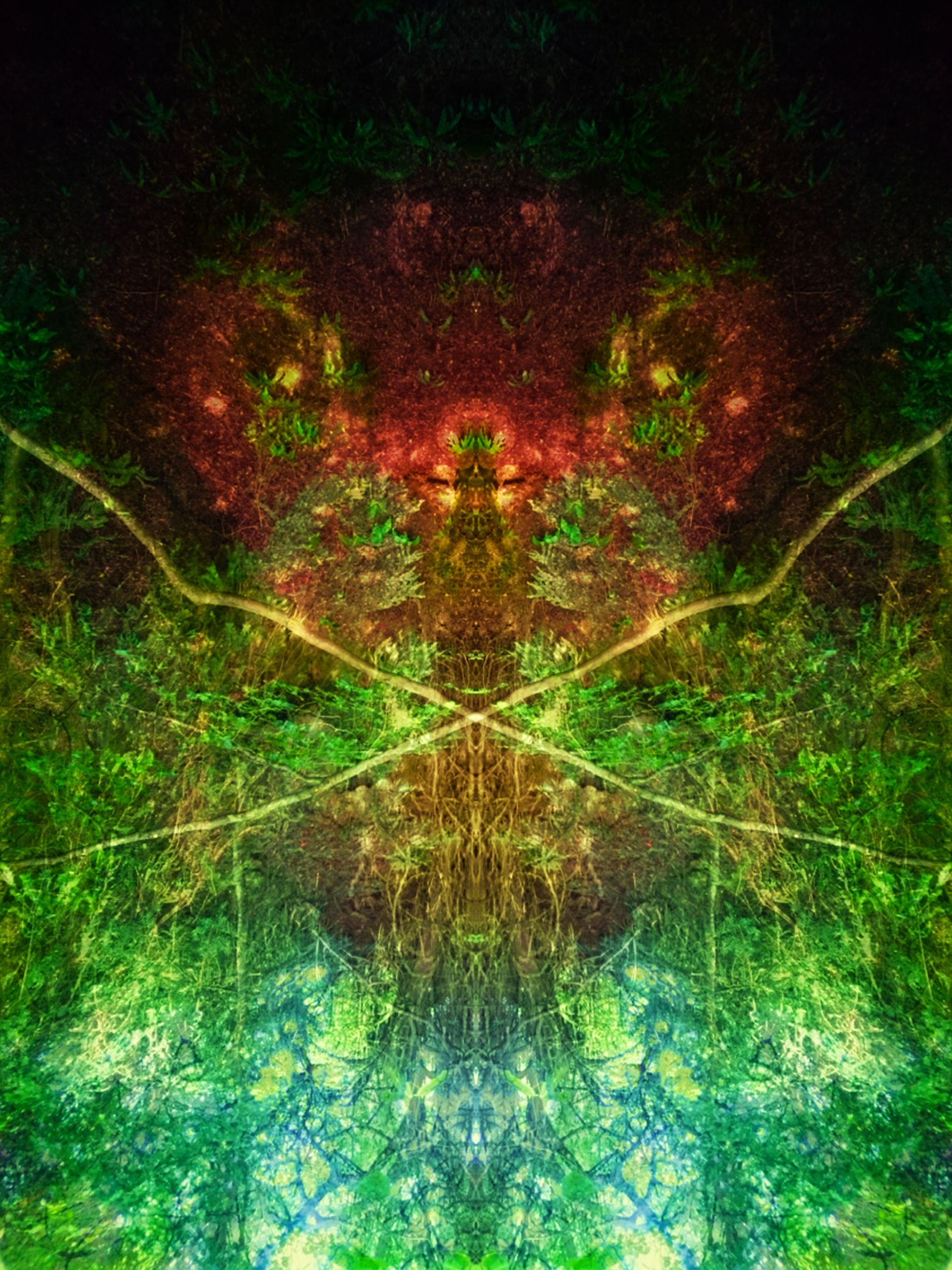 Water dousing, water divining. An ancient way of finding where underground water runs.