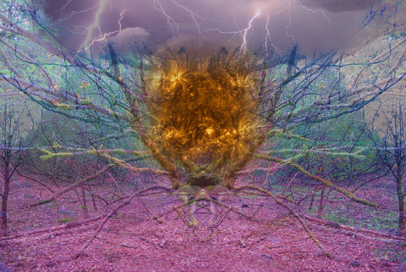 A picture of Ball Lightning hovering in some trees with a lightning storm behind