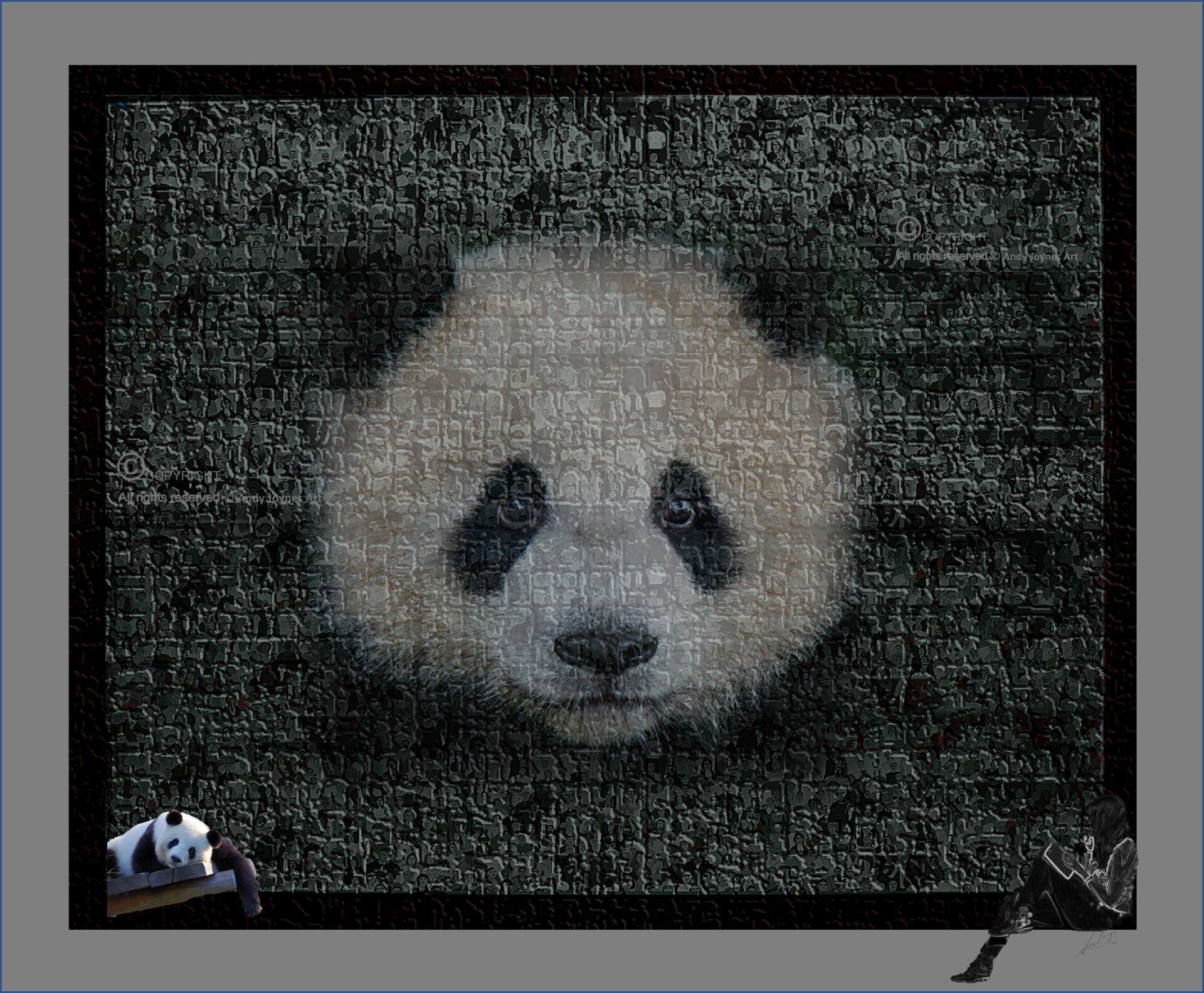 Pandas are in danger of becoming extinct because of human interference with their habitat, and climate change.  A Panda has a time worn attraction for most humans and perhaps we should try harder to help the species survive.