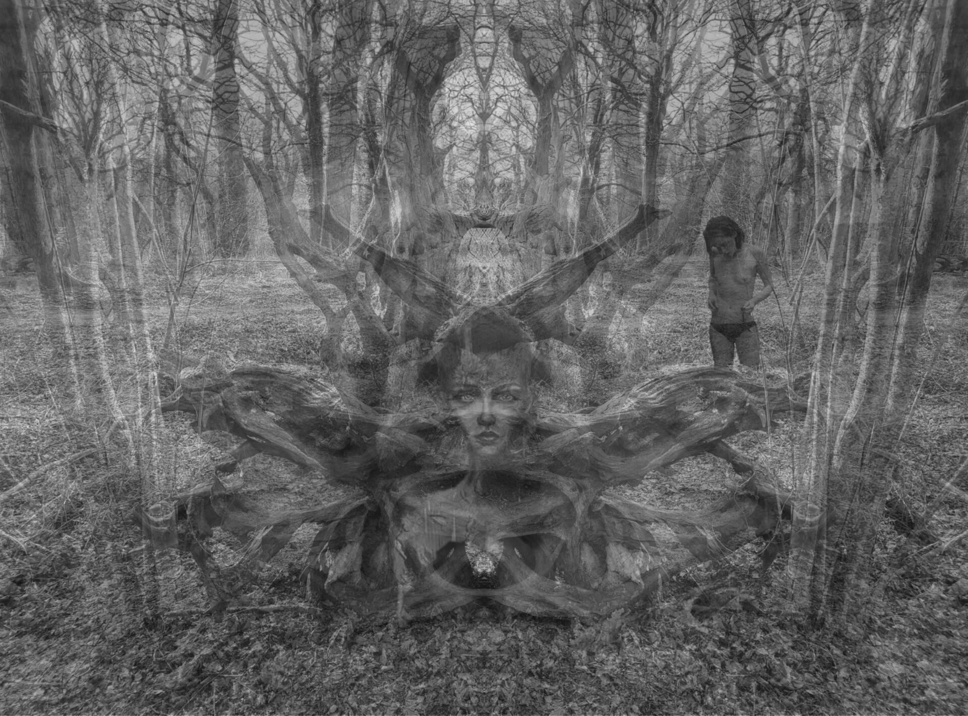 Early dawn forest scene with a surreal female face peering from a tree and a young woman getting dressed