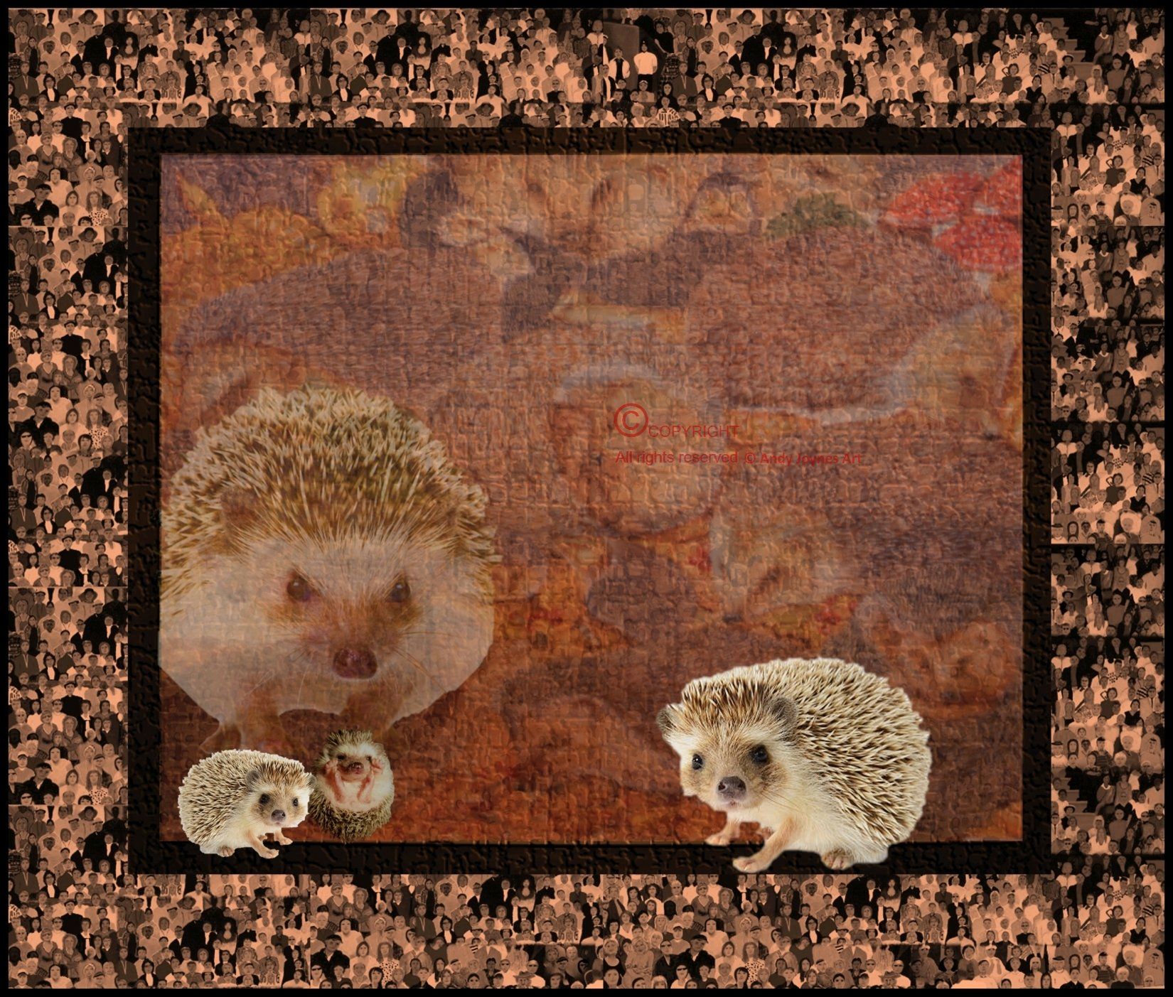 An adult Hedgehog with three babies