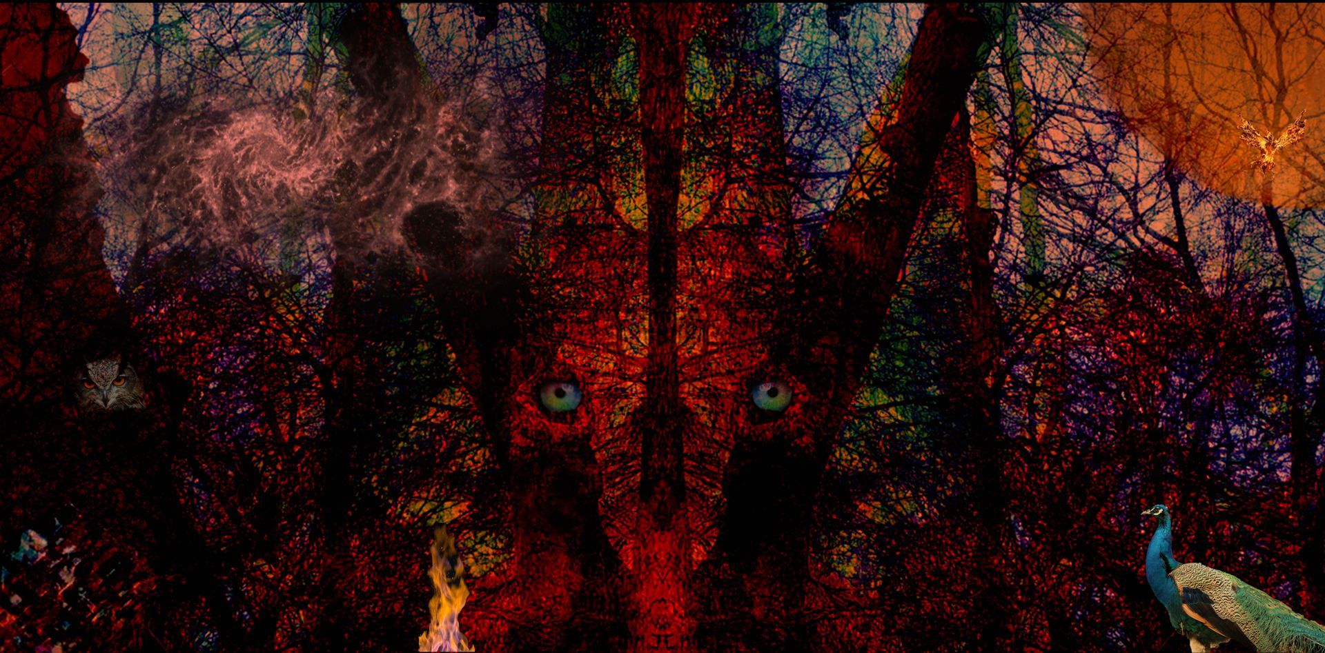 As the Earth heats up, the forests begin to burn. Ecology. Biodiversity. Wildlife.