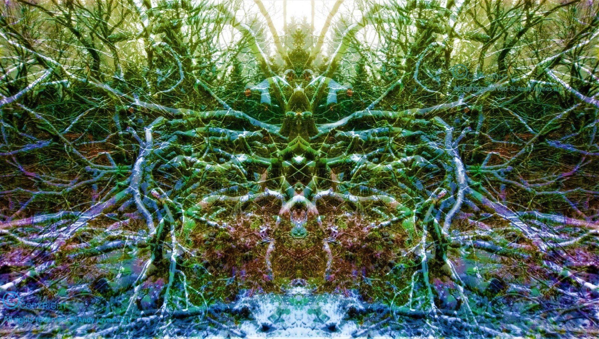 A colourful winter scene of dense woodland foliage