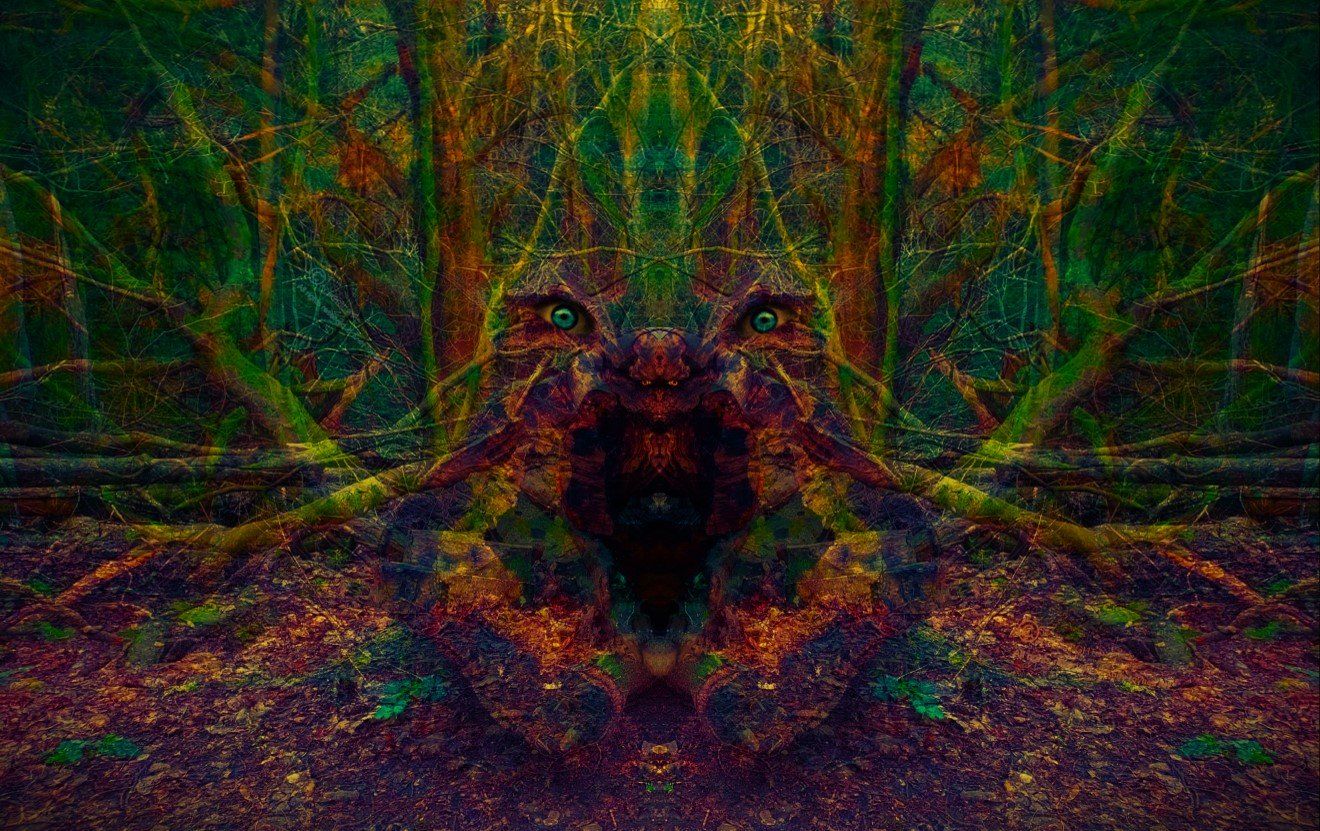 Thick forest undergrowth with a mythical face looking out