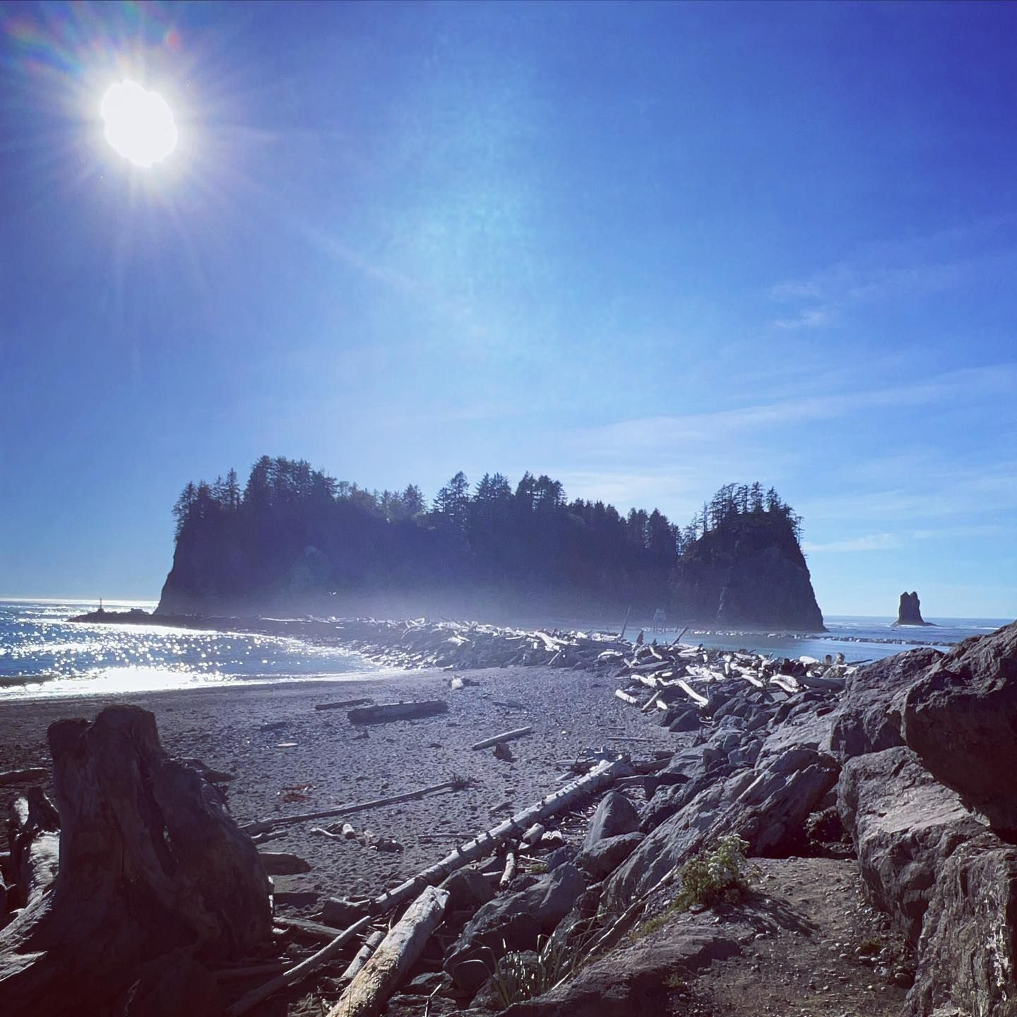 Sunny beach with driftwood, ocean, and a small, forested island. Bright blue sky.