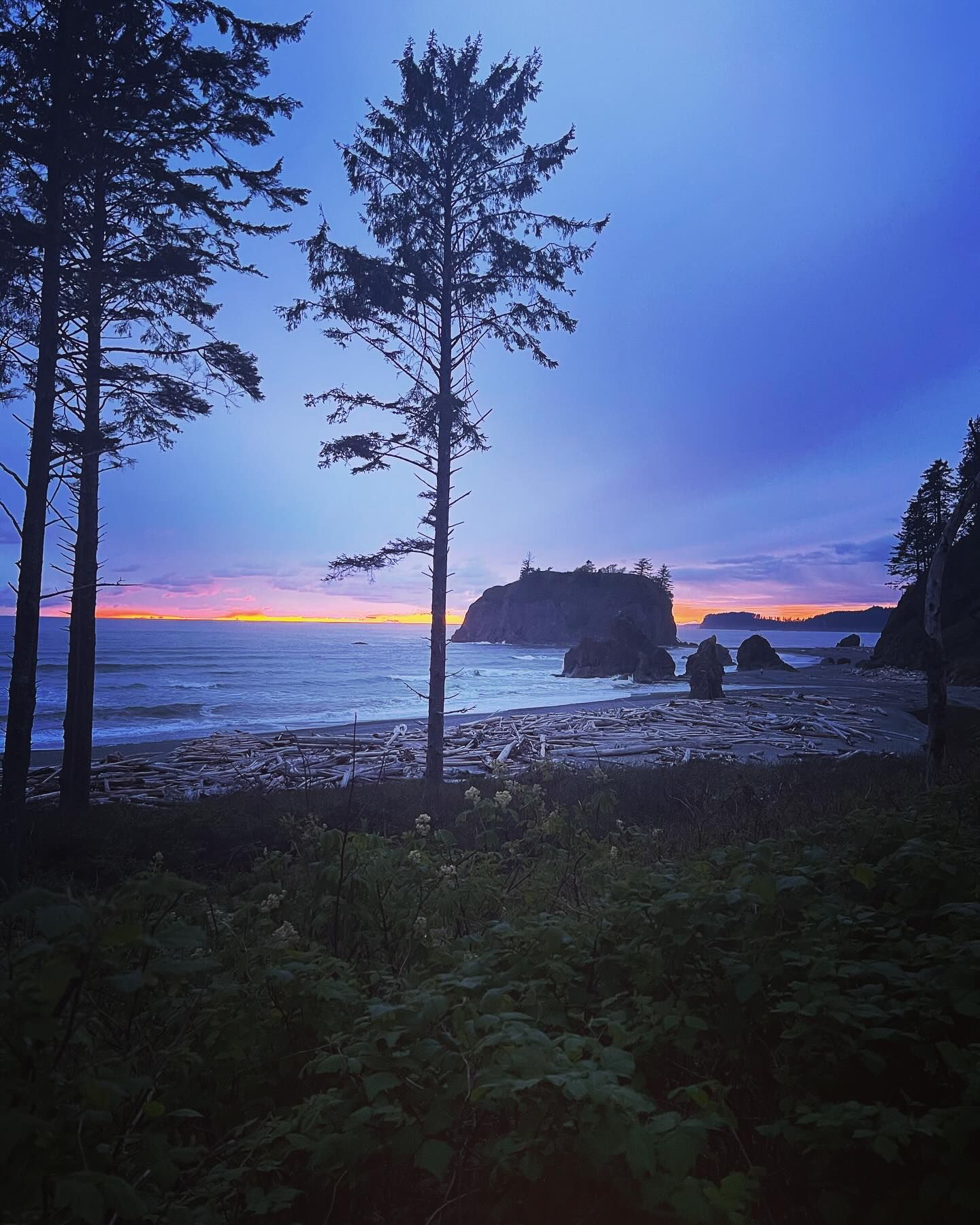 Sunset over a rocky beach with silhouetted trees and a small island. Purple, orange, and blue hues.