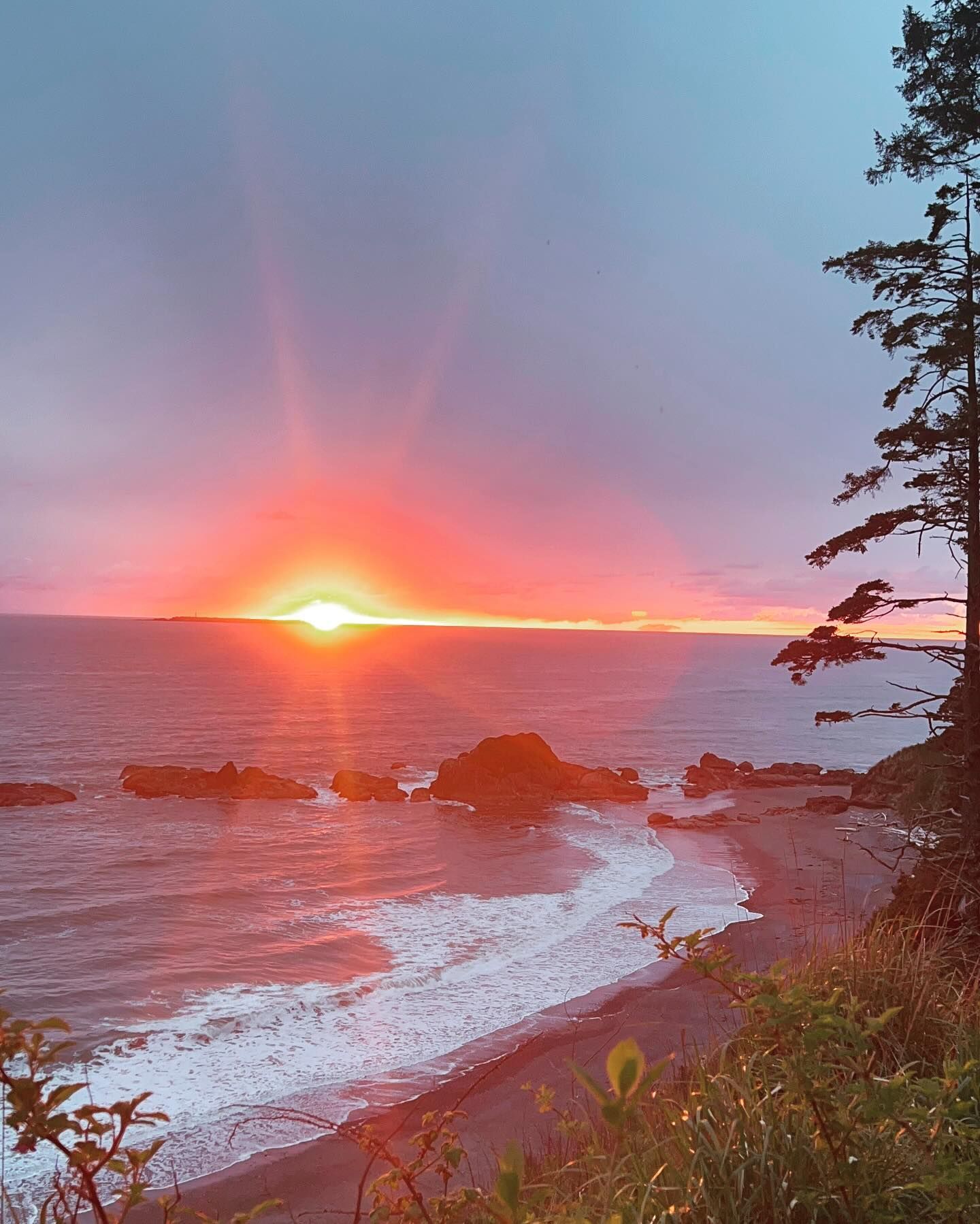 Sunset over ocean with rocky shoreline; vibrant orange sky, dark water, silhouetted trees.