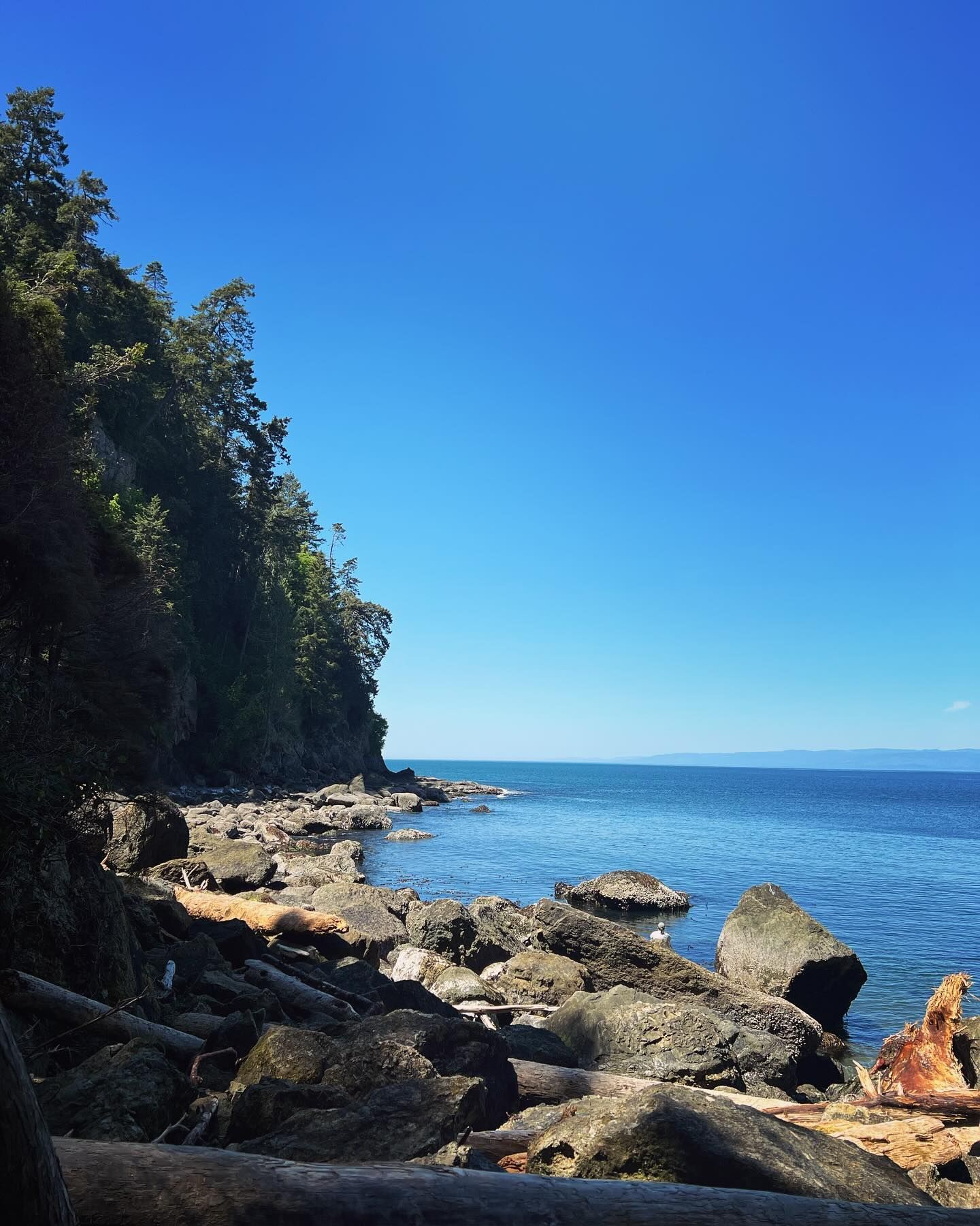 Rocky shoreline with dark blue water and a forest against a clear, blue sky.