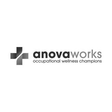 Logo for AnovaWorks: cross symbol with text 