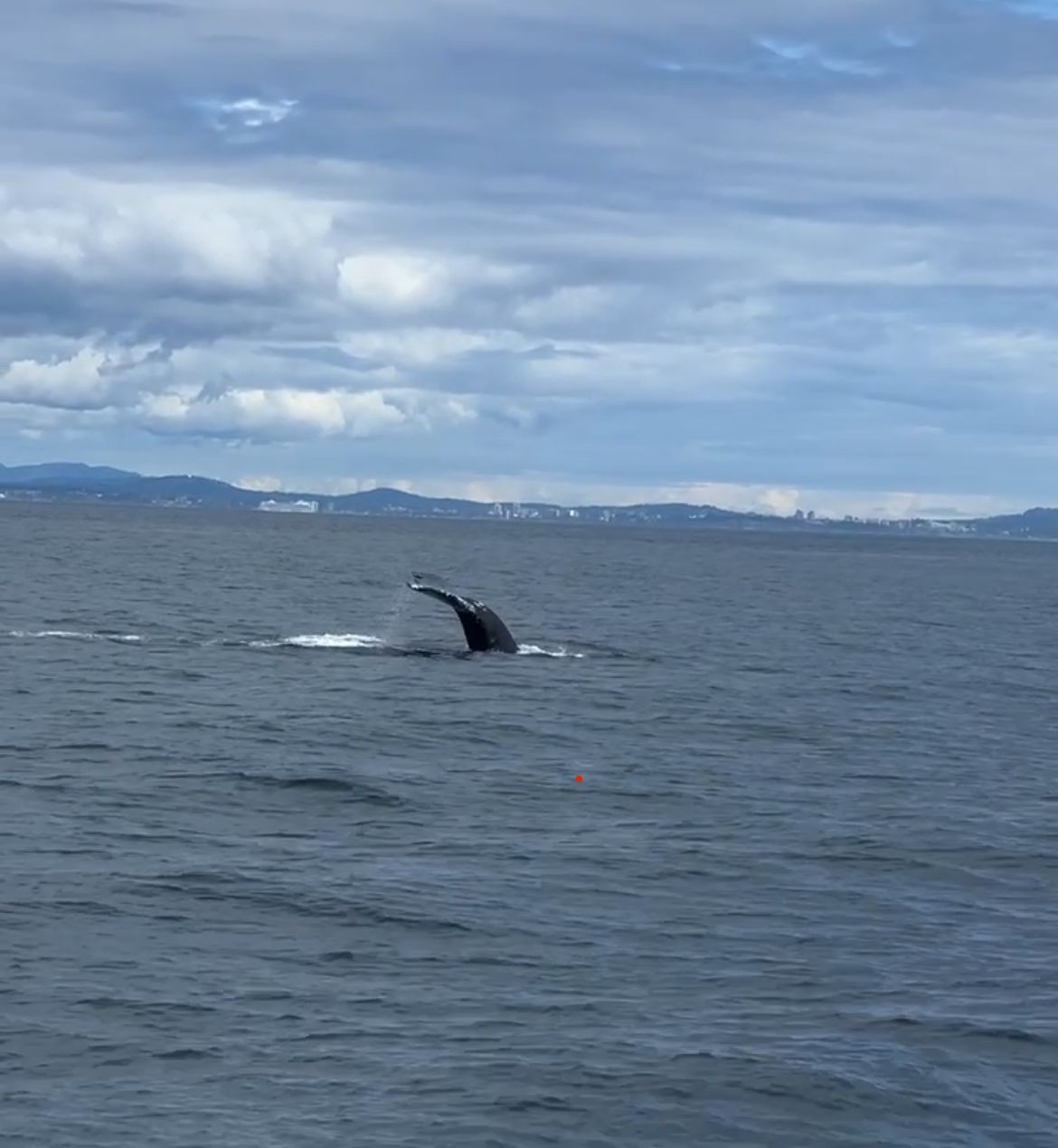 Whale's tail emerges from dark ocean water under cloudy sky.