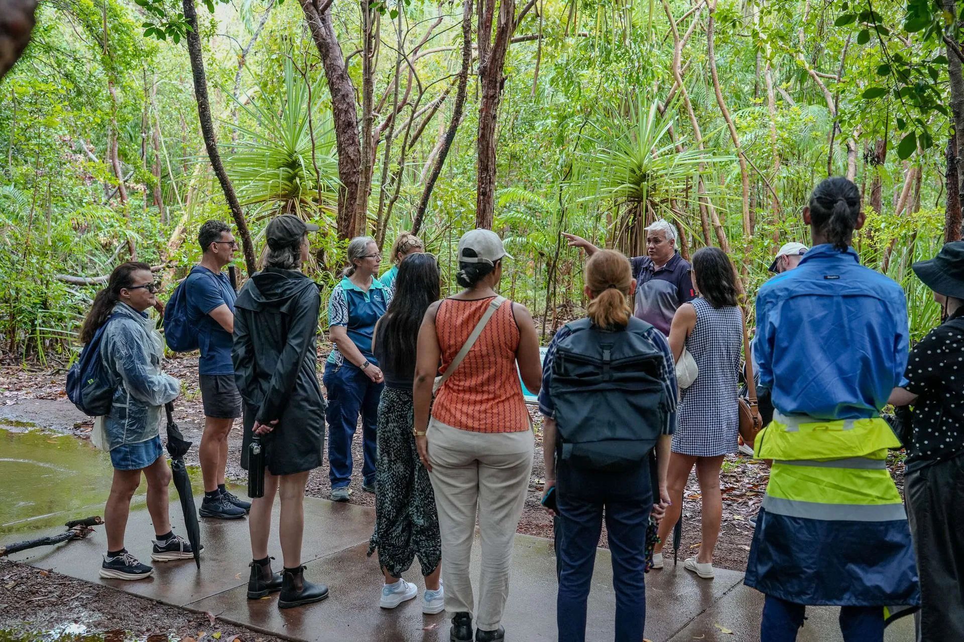 A group of people on a forest tour. A guide points, as they stand on a path in the trees.