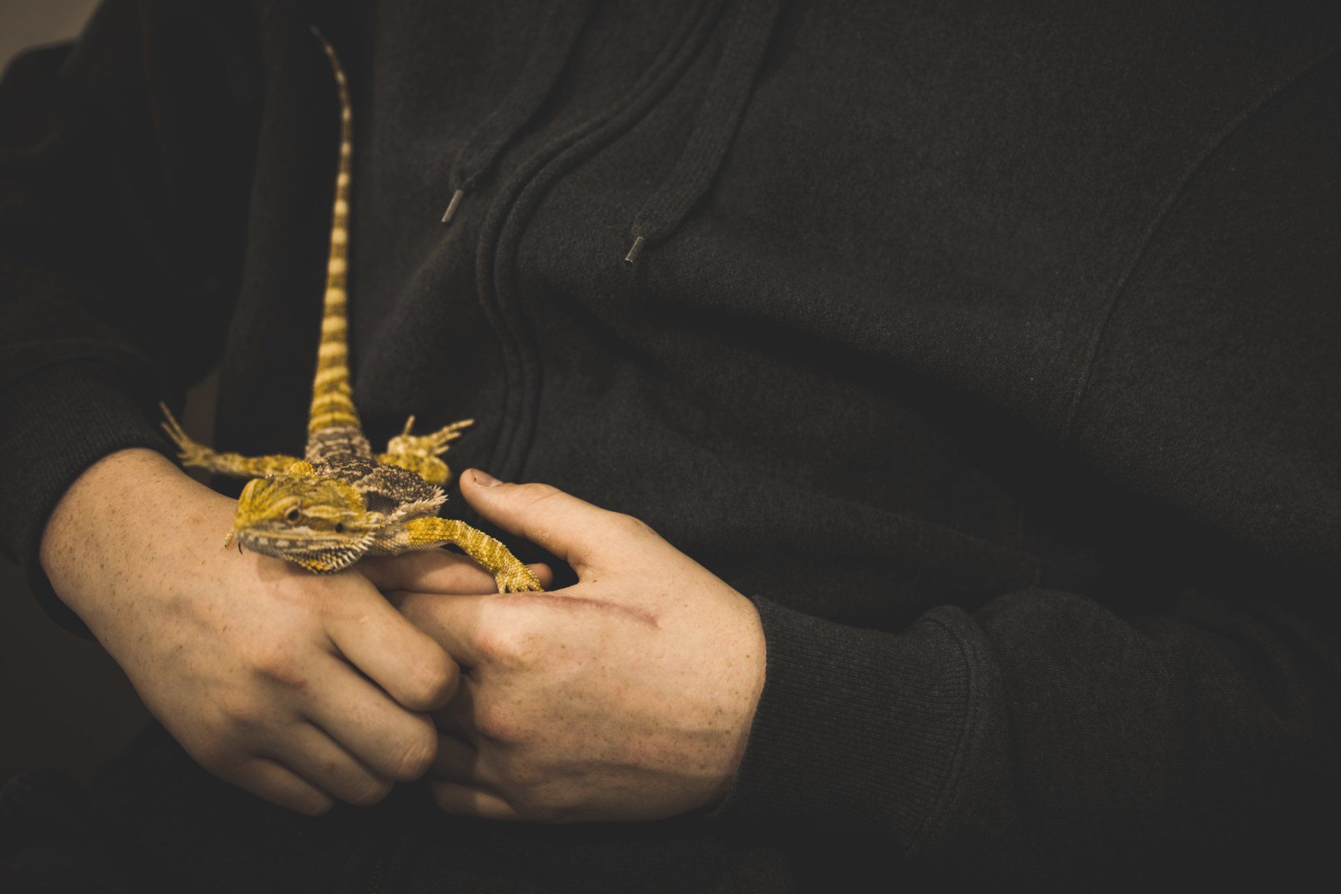 special education teaching in Franklin, TN