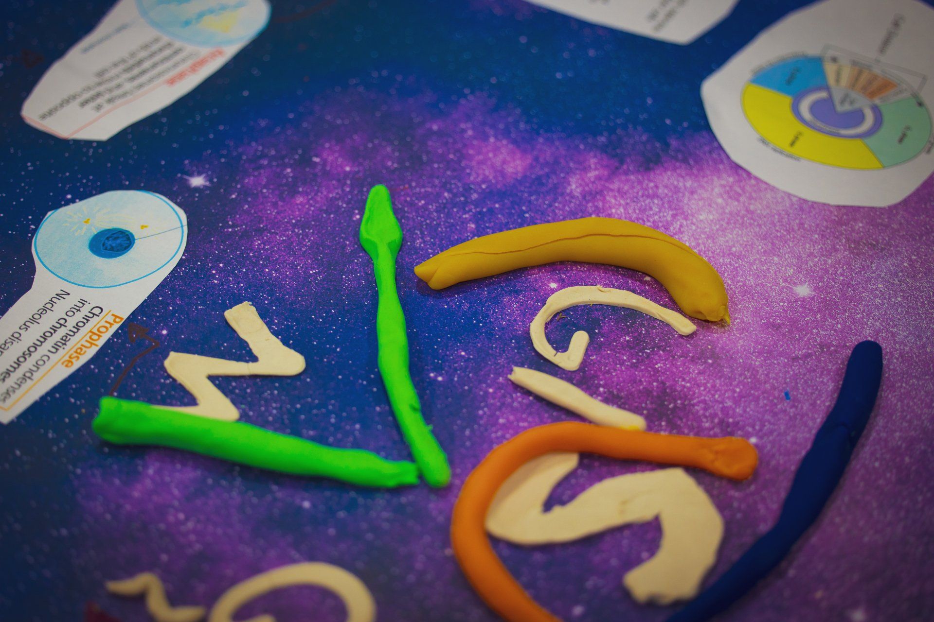 private schools near Brentwood, TN