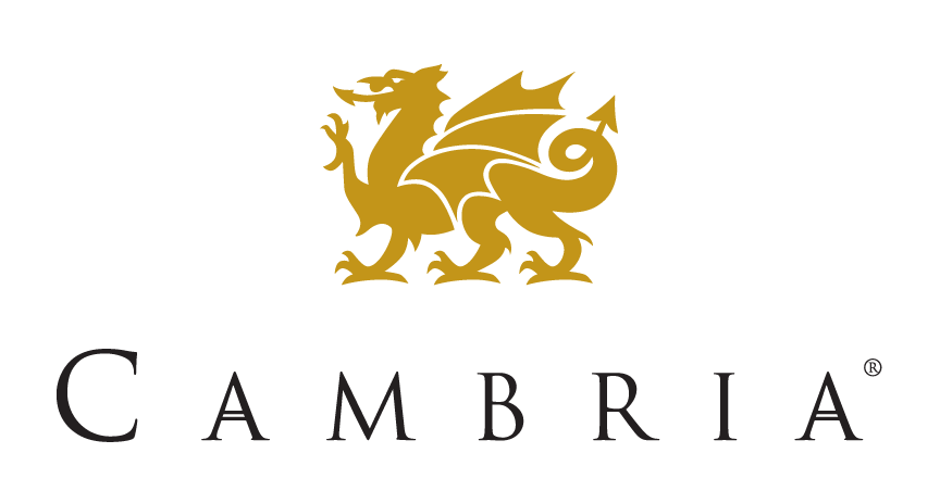 Gold dragon above the brand name