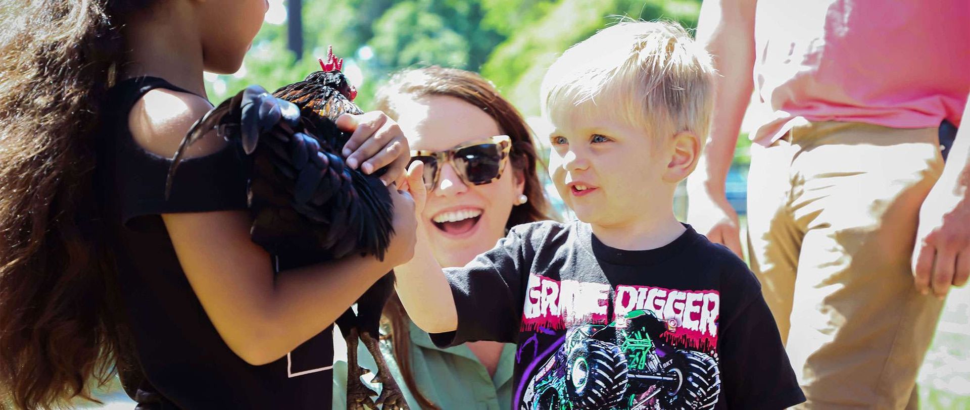 Child Touching Chiken