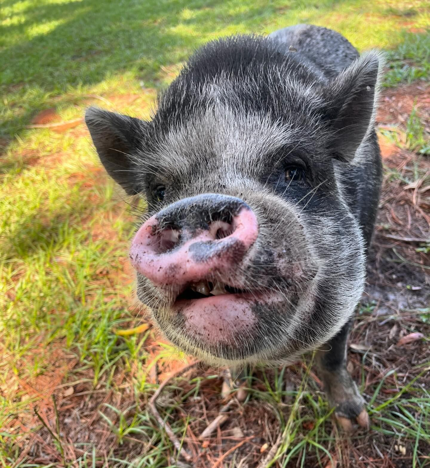 I’m Leo and I’m a Lover