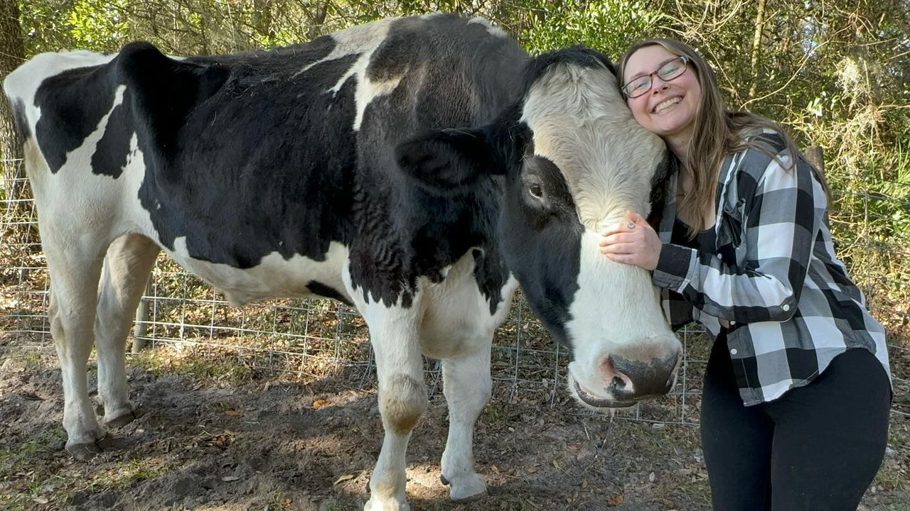 Woman smiles while embracing a black and white cow outdoors.