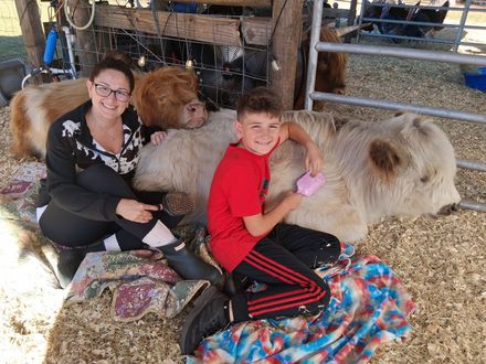 Woman and boy petting a small, fluffy cow in a barn. They're sitting on a blanket on wood shavings.
