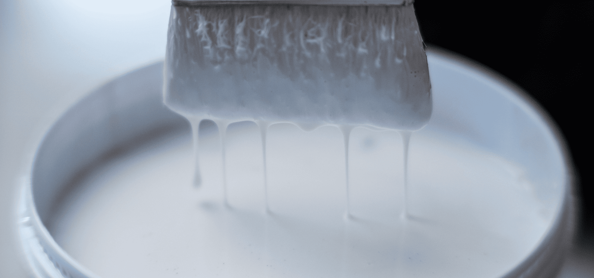 Close-up image of a brush being dipped into white water-based lacquer paint