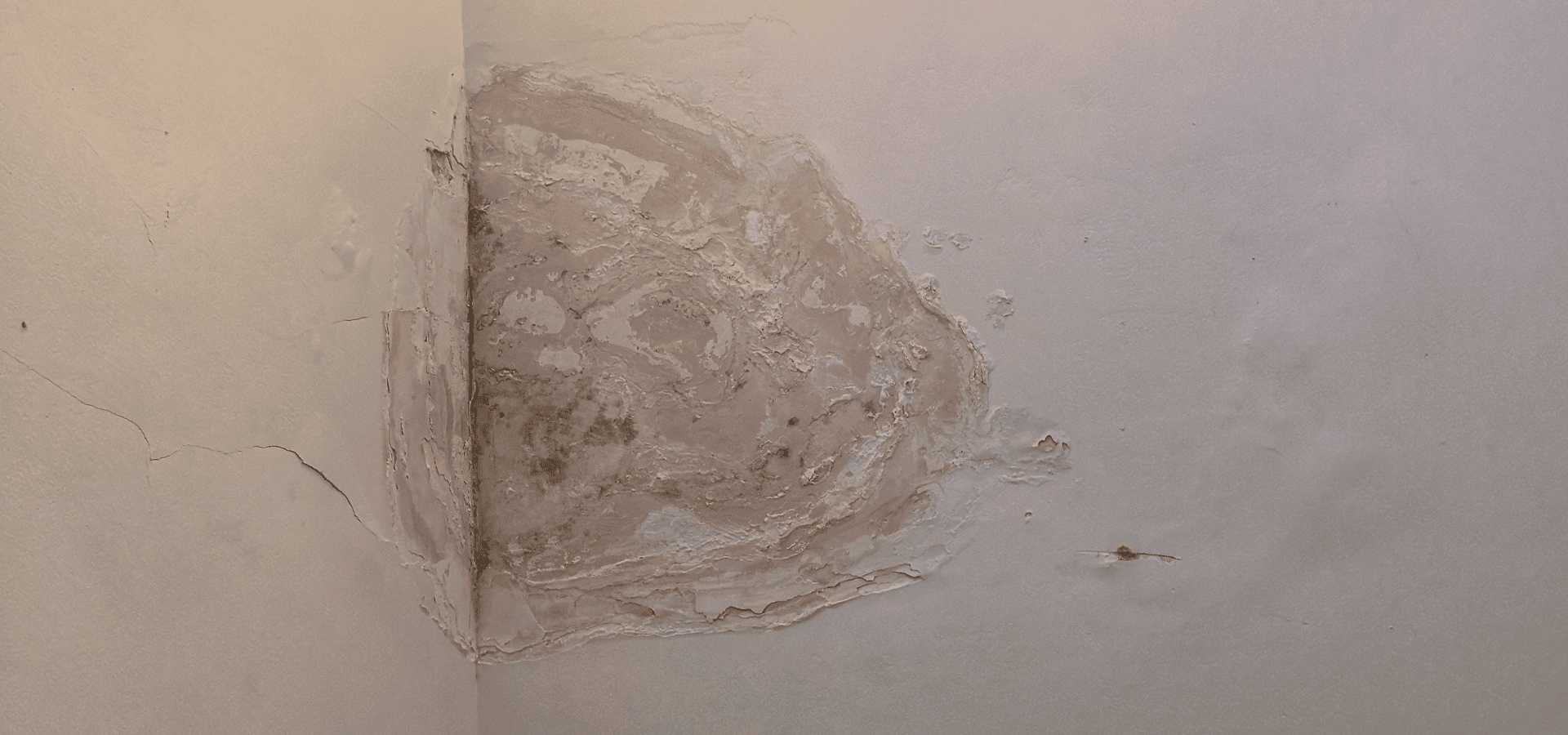 A large moisture stain on a white painted wall