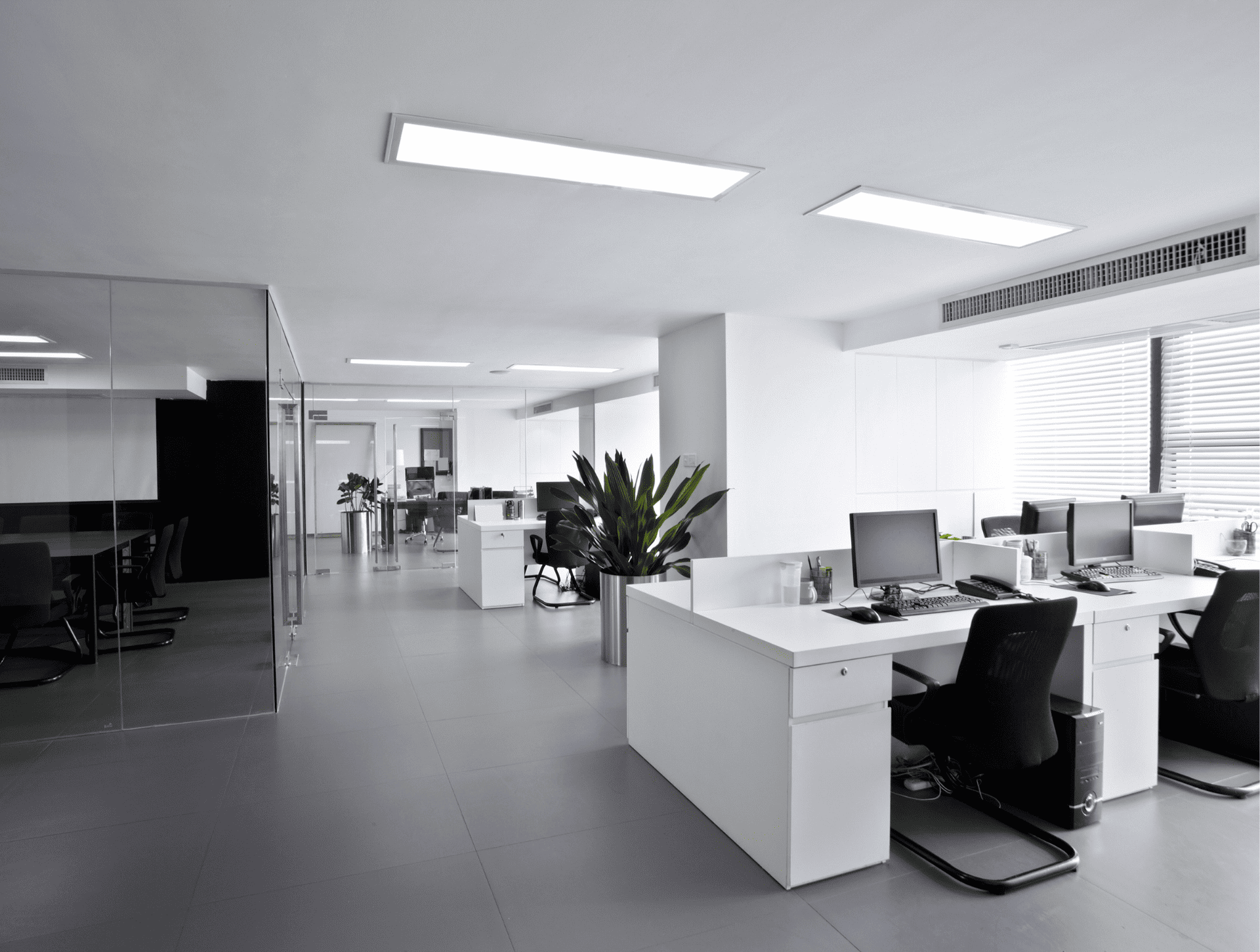 A clean and neat white-painted office interior