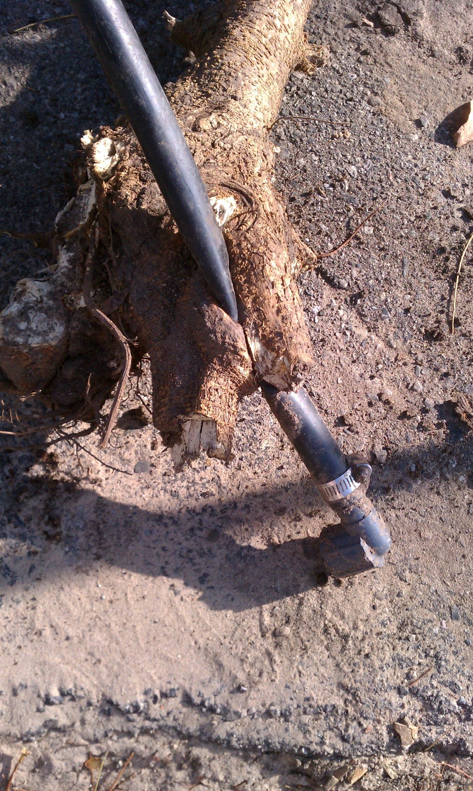 A close up of a hose laying on the ground