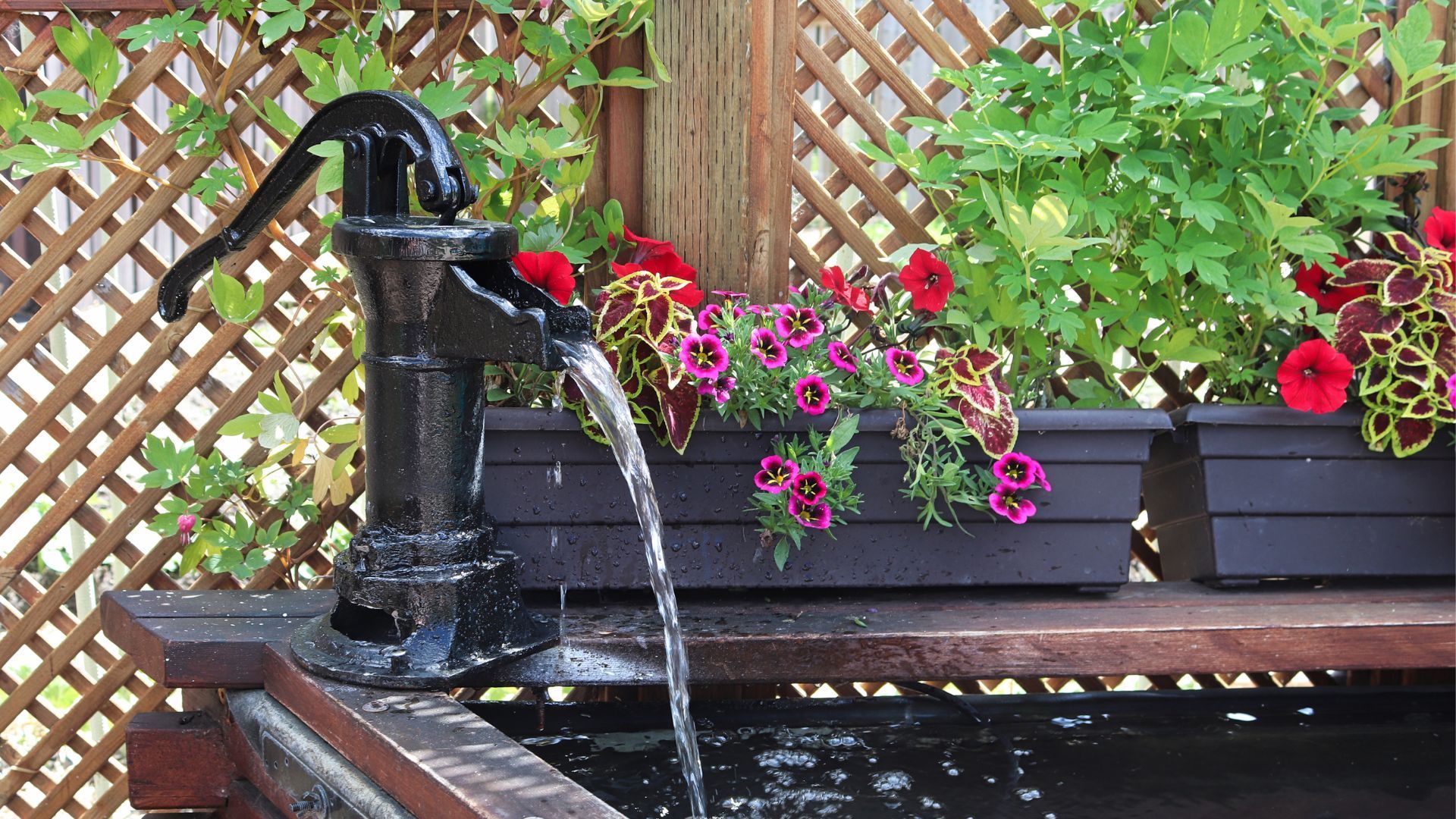 Vintage water pump with flower boxes and trellis backdrop in Stockton, CA garden.