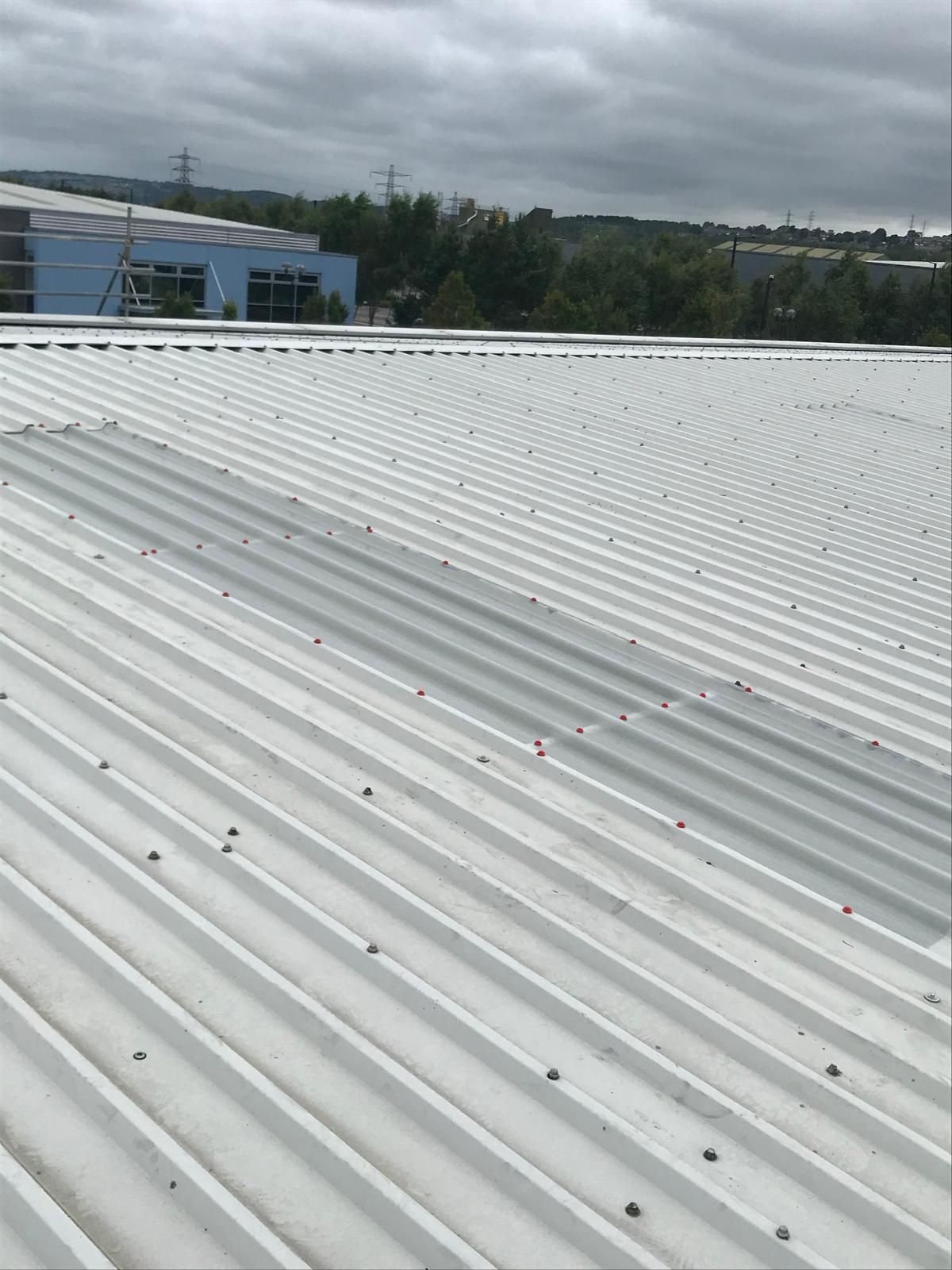 White corrugated metal roof with screws, overcast sky, industrial setting.