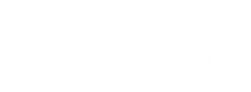 A white background with a few lines on it