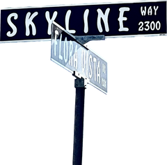Skyline Property Management logo - click to go home