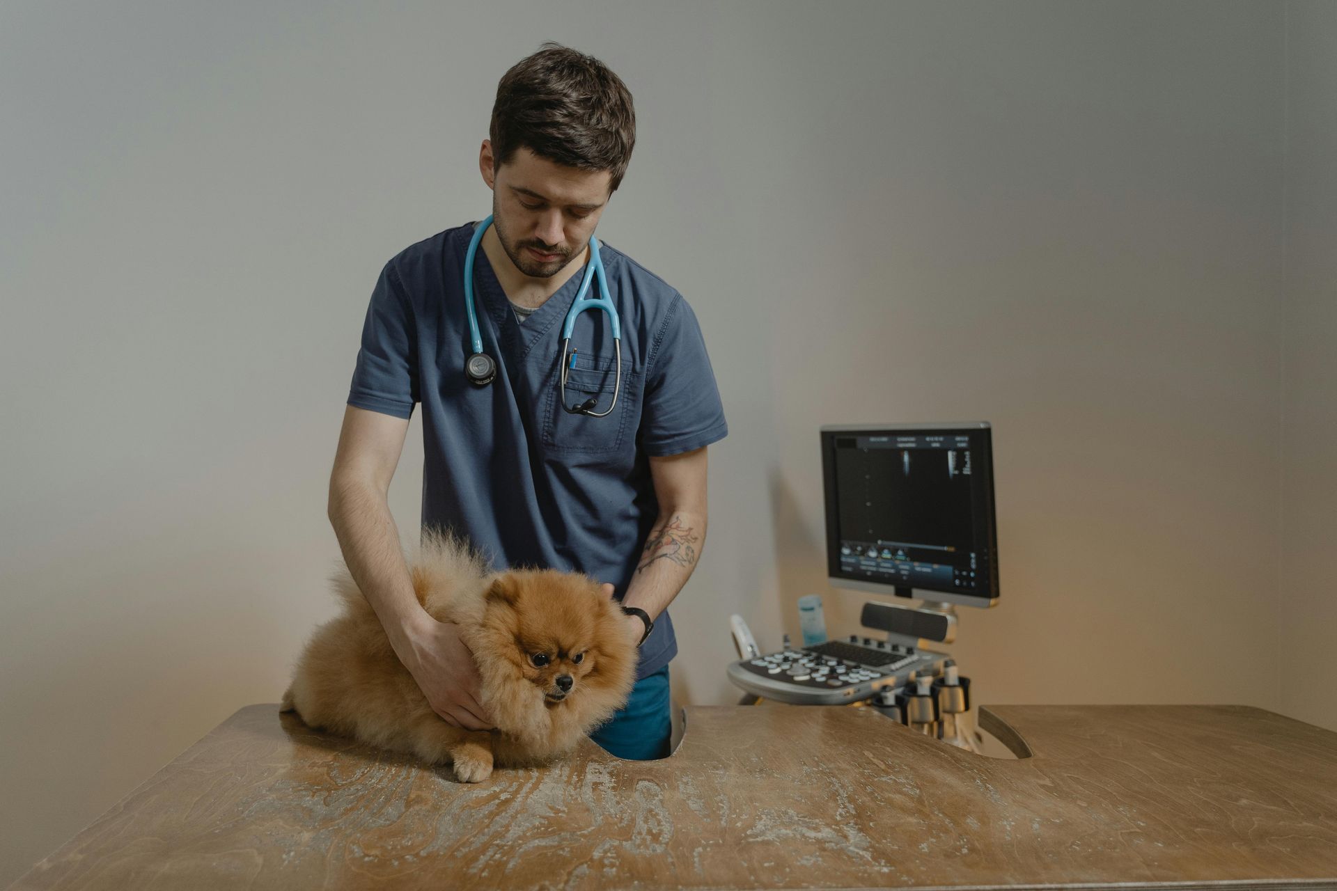 Un veterinario con uniforme azul examina a un perro de Pomerania en una mesa, con una máquina de ultrasonido al fondo.
