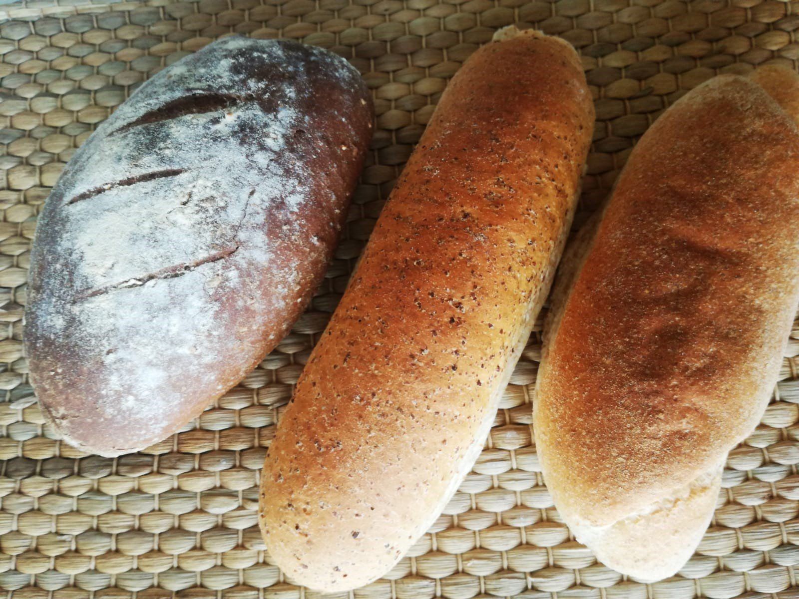 Pane di farro, soia e integrale