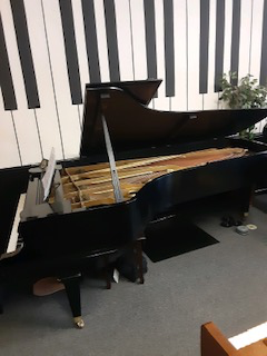 Mason & Hamlin Model CC 9’ Concert Grand