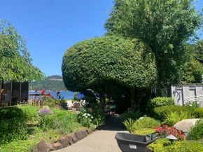 Stunning landscape on the water in Olympia, Wa