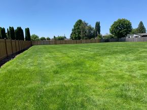 Beautifully maintained yard in Lacey, WA
