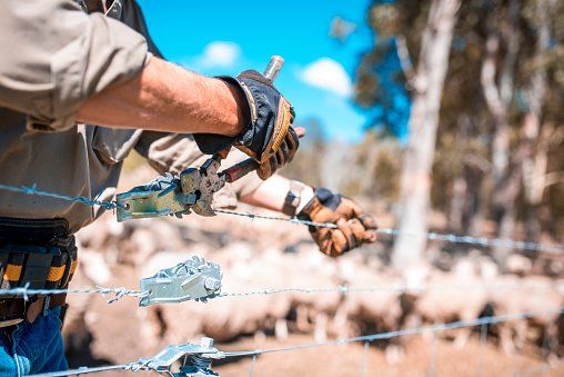 A man is working on a barbed wire fence.