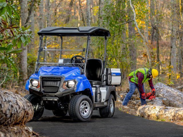 Golf Cart Styles — Family Size Golf Cart In Blue Theme in Reno, NV
