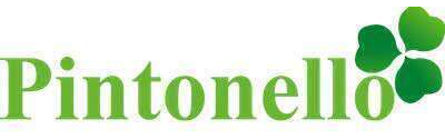 Logo “Pintonello” verde con un’icona a forma di trifoglio verde sopra il testo