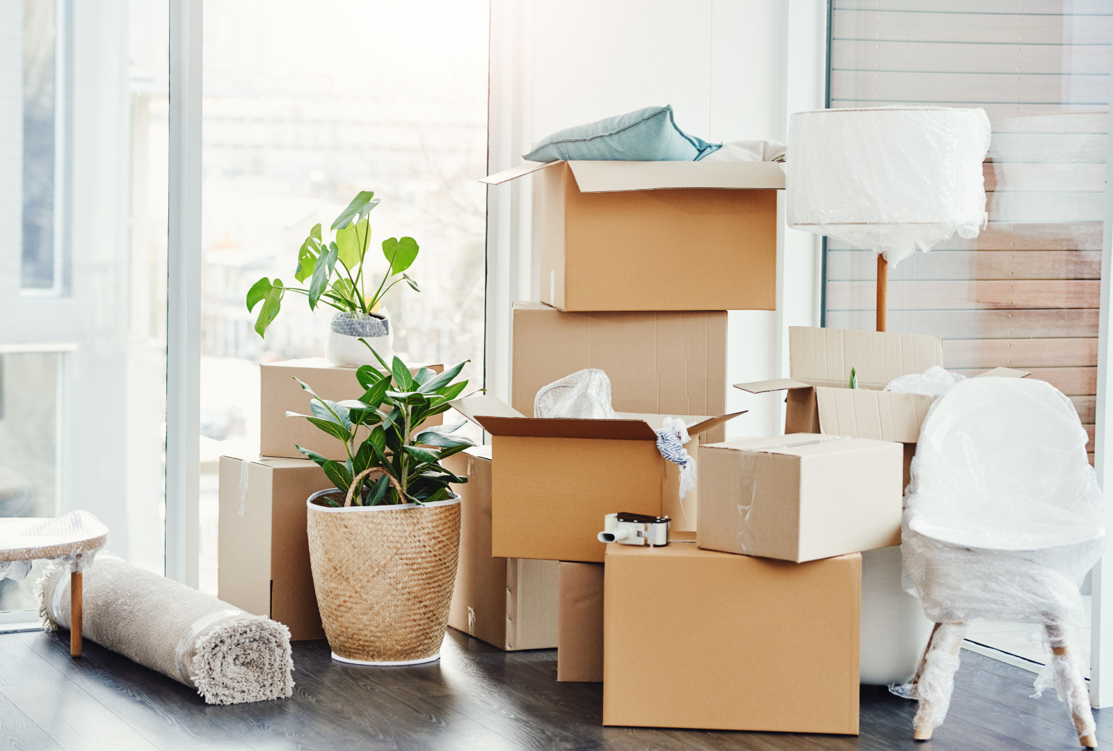 Moving boxes stacked near a window, next to a potted plant, rolled rug, and covered chair.