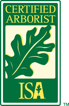Certified Arborist ISA logo: green and yellow rectangle with an oak leaf illustration.