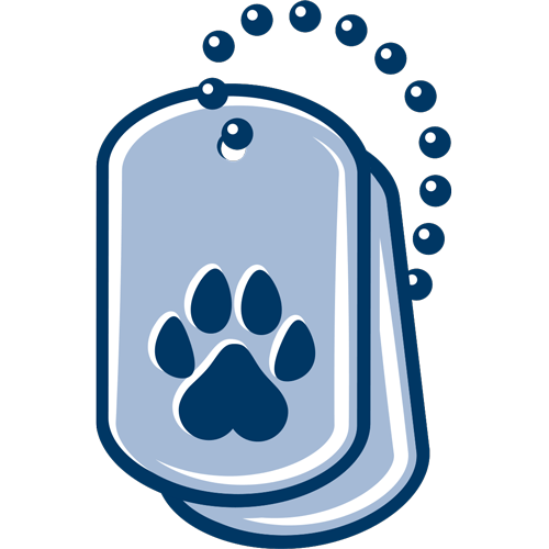 maine-paws-for-veterans-service-related-ptsd-dog-training