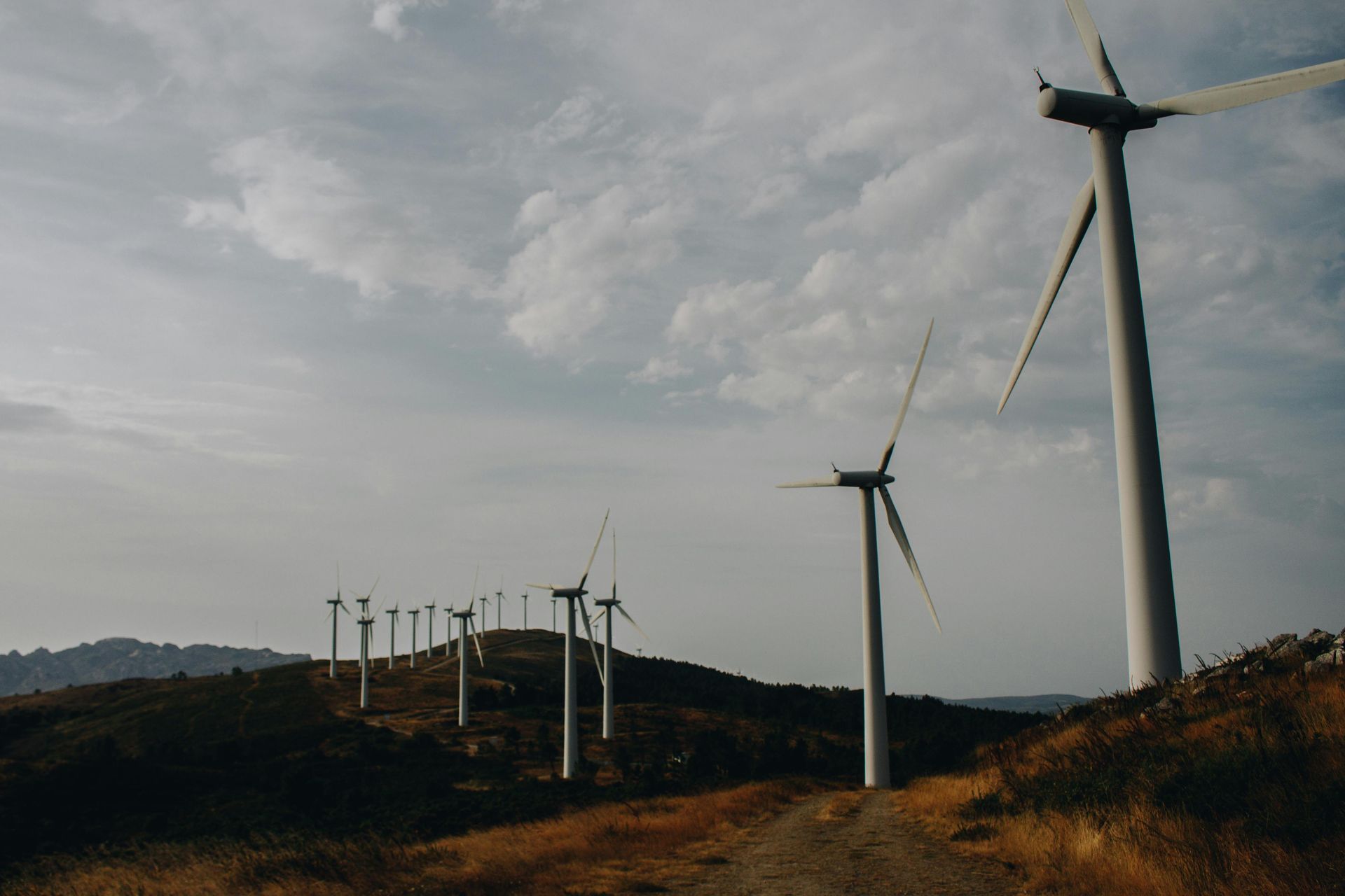Reskilling in the renewables sector cover image
