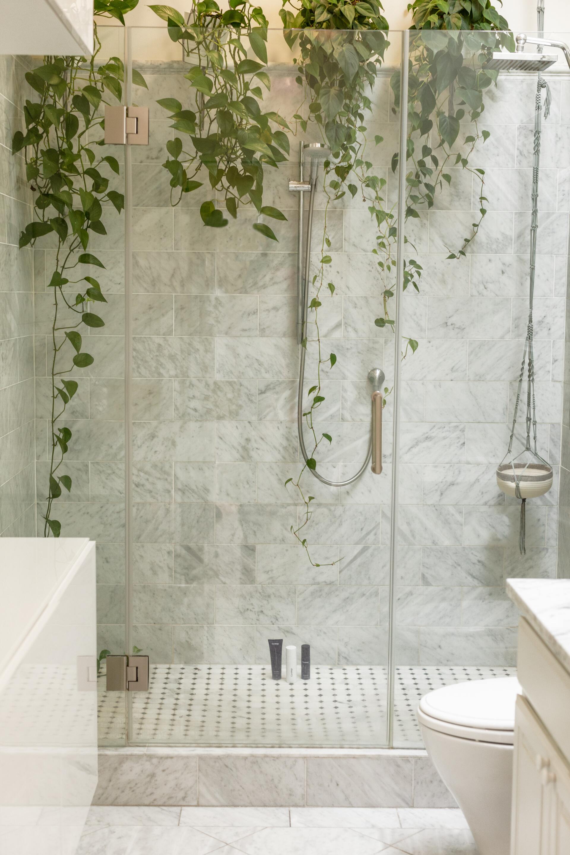 Shower with glass doors, marble tile, and hanging green vines.