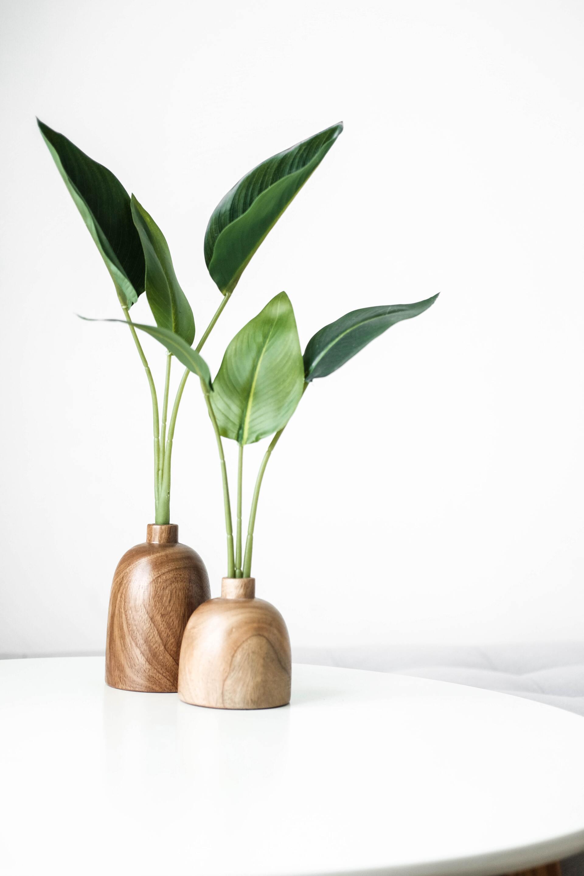 Two wooden vases with green plants on a white table.