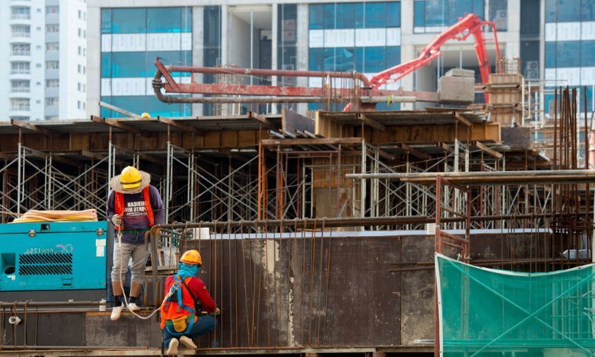 The Surety Bond Family Tree – Visual Guide