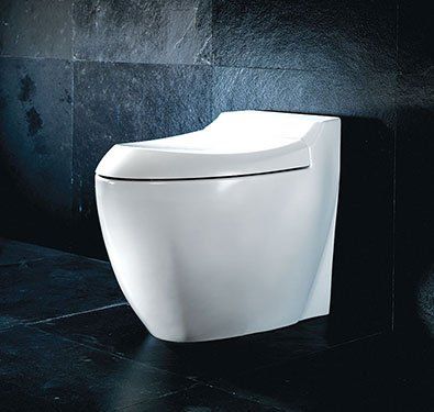 Windsor Back-to-Wall Toilet