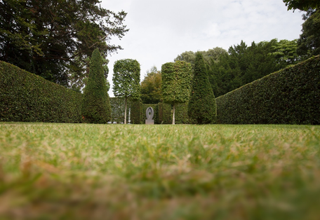 Yard with trimmed hedges and trees