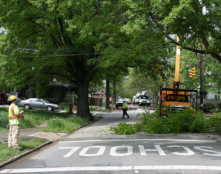 Tree service in residential neighborhood 