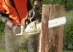 Chainsaw cutting log