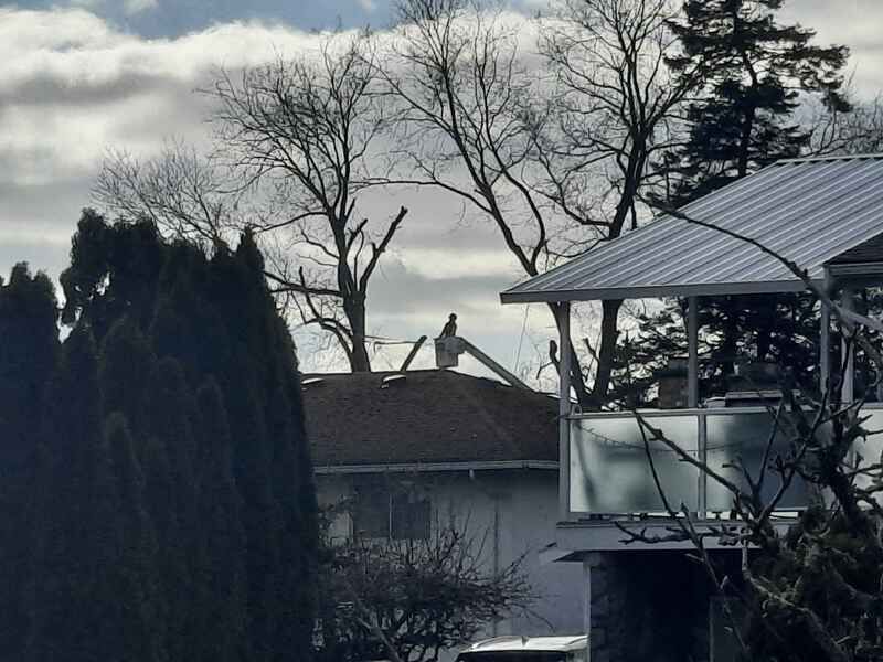 Tree service worker in a distant boom truck bucket 1